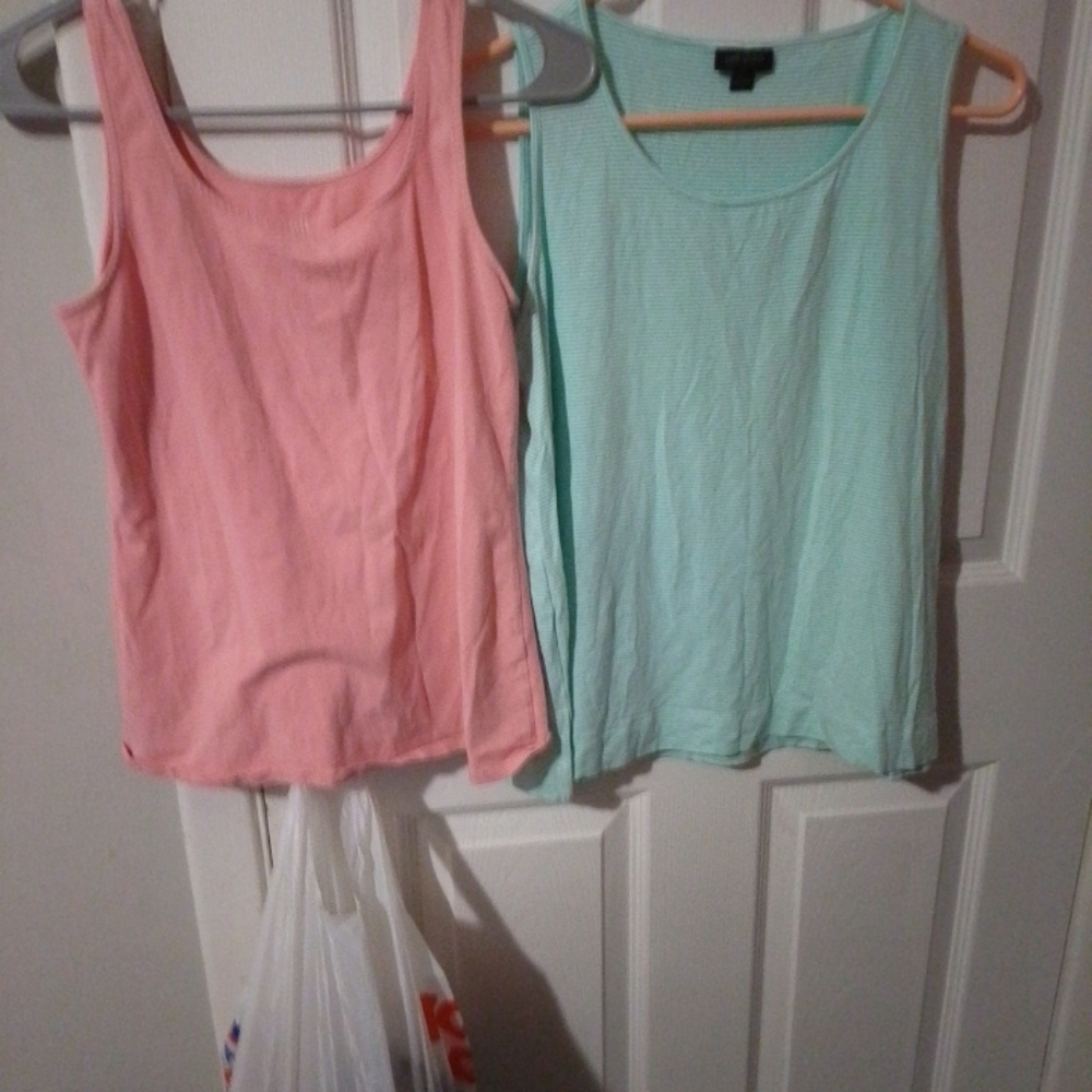 J. Jill Light Green Striped Sleeveless Top And Pink Perfect Tee. Small